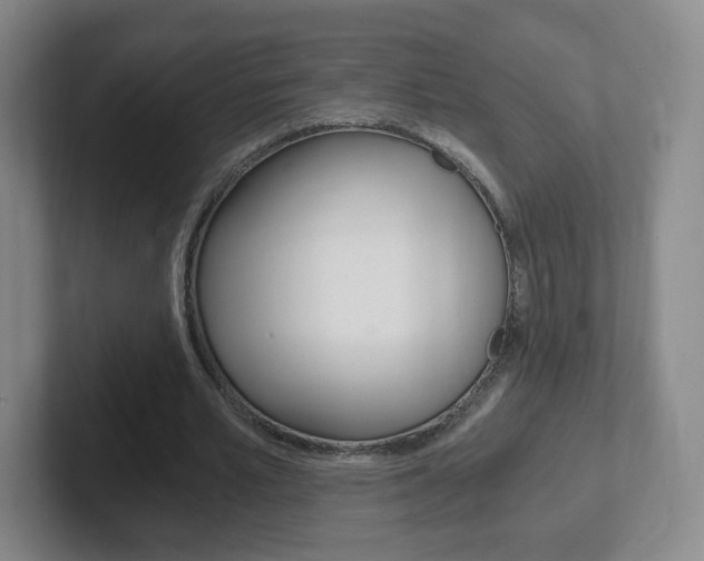 X0000102300581200807251023