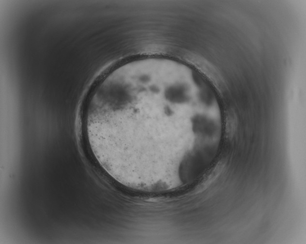 X0000102300584200807251023