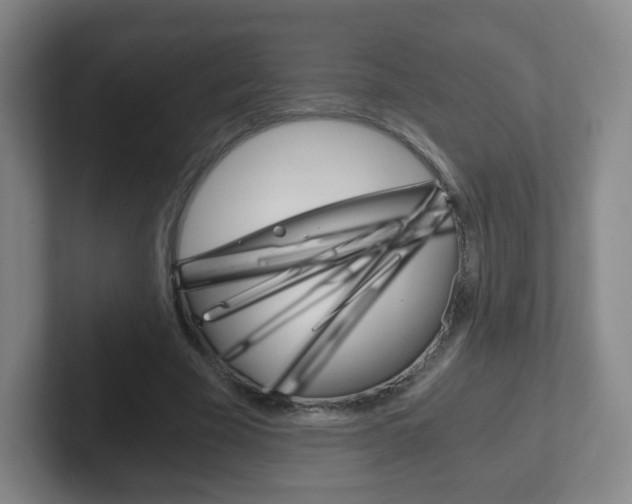 X0000102300585200807251023