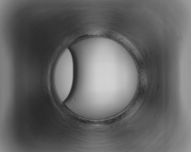 X0000102300586200807251023
