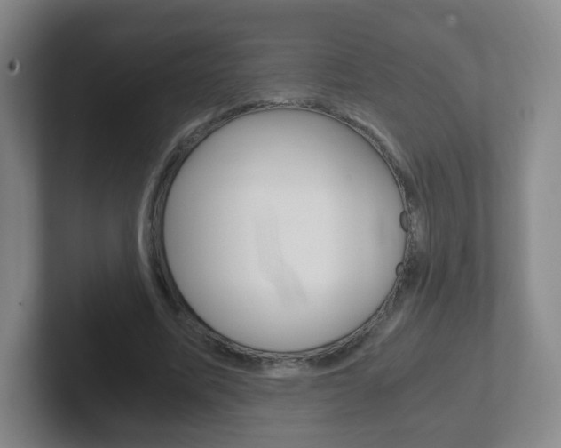 X0000102300587200807251023