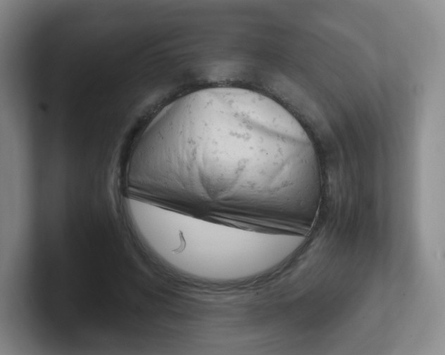X0000102300592200807251023