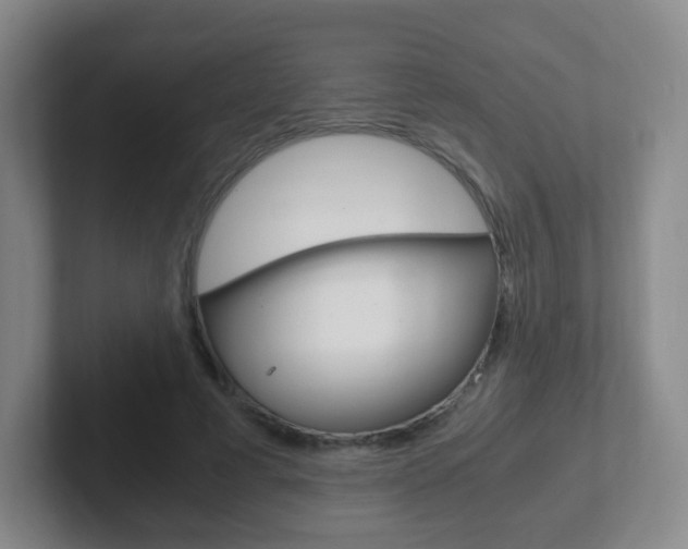 X0000102300593200807251023