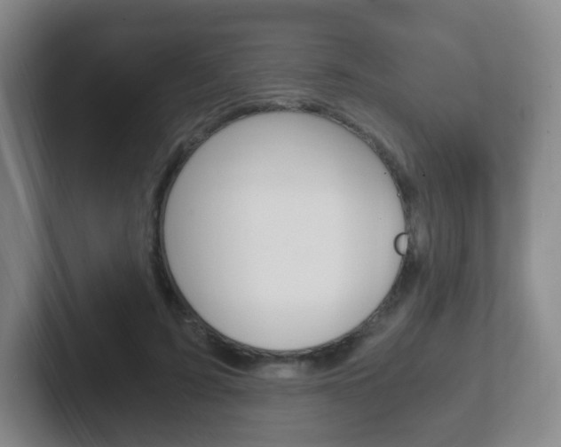 X0000102300595200807251023