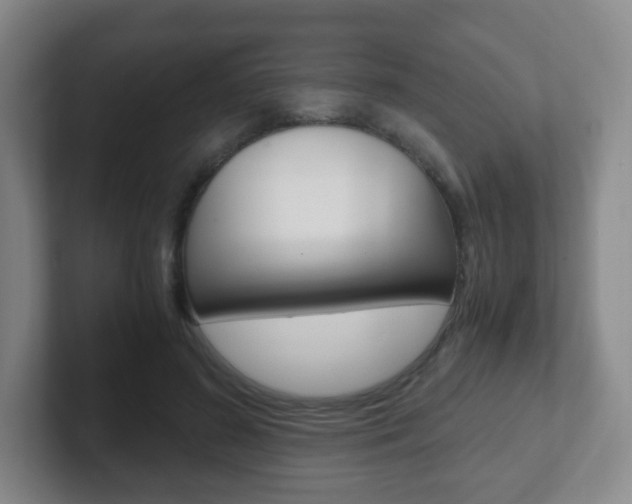 X0000102300596200807251023