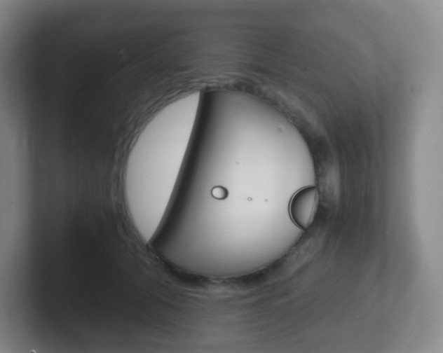 X0000102300608200807251022