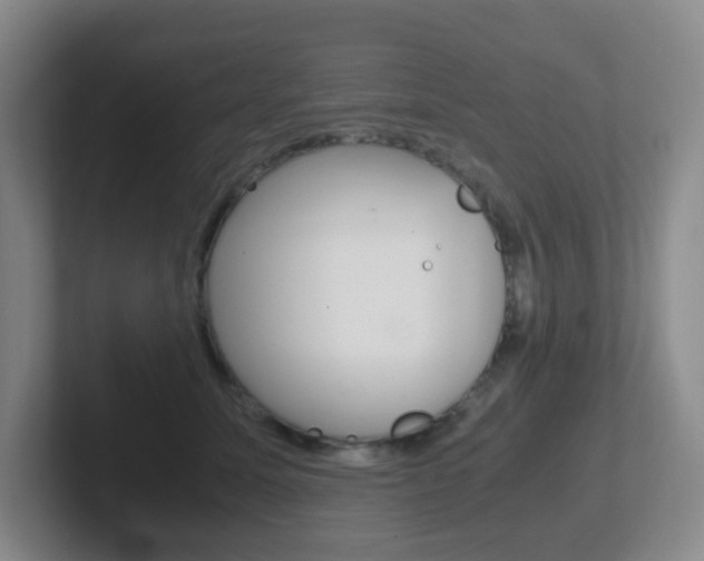 X0000102300611200807251022