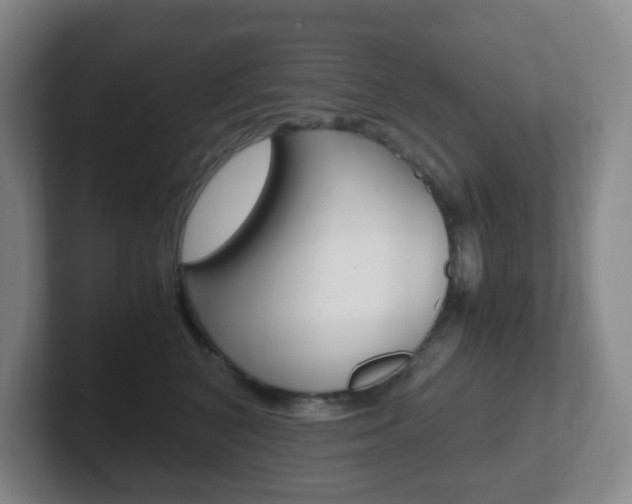 X0000102300616200807251022