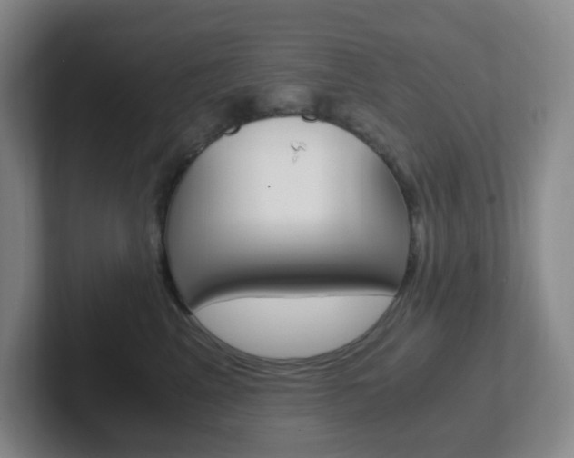 X0000102300617200807251022