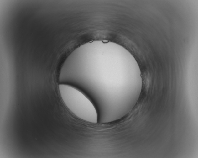 X0000102300619200807251022