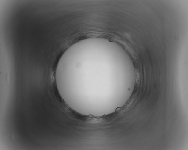X0000102300621200807251022