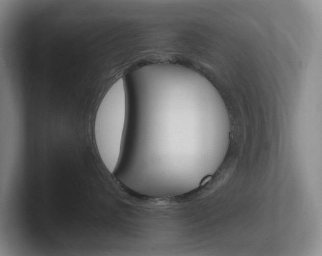X0000102300624200807251022
