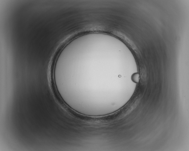 X0000102300629200807251022