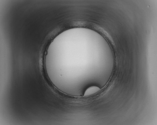 X0000102300633200807251022