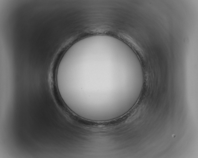 X0000102300634200807251022