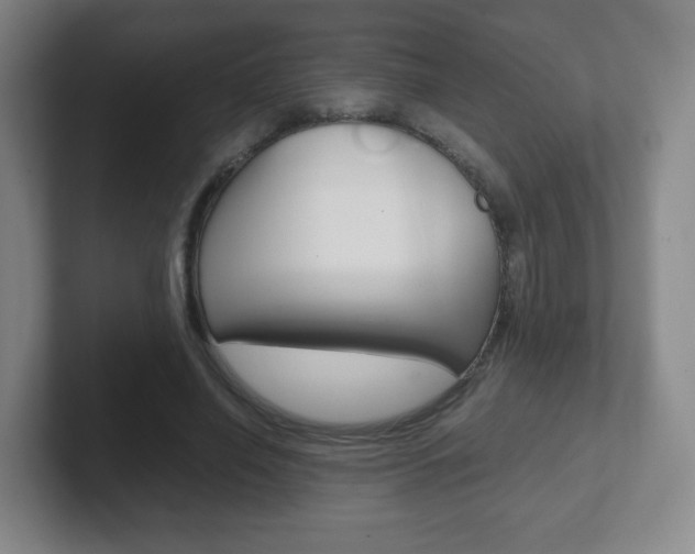 X0000102300638200807251022
