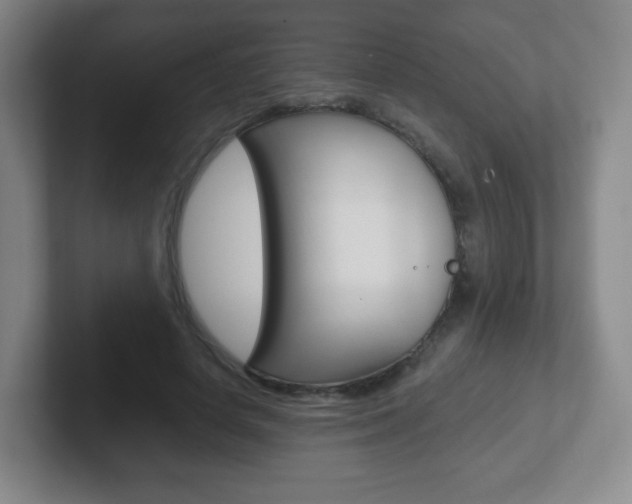 X0000102300642200807251022