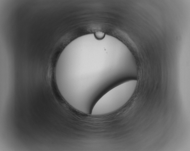 X0000102300645200807251022