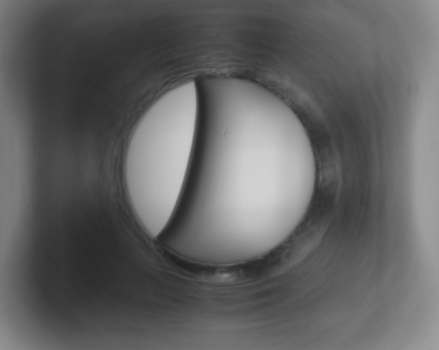 X0000102300647200807251022
