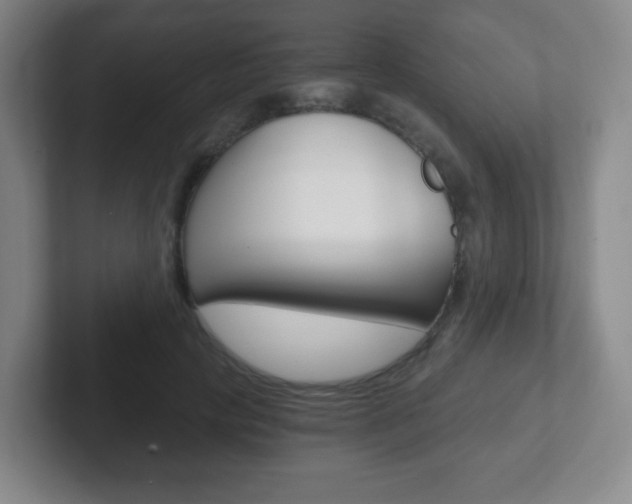 X0000102300649200807251022