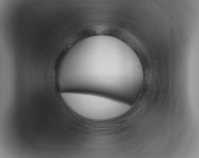 X0000102300650200807251022