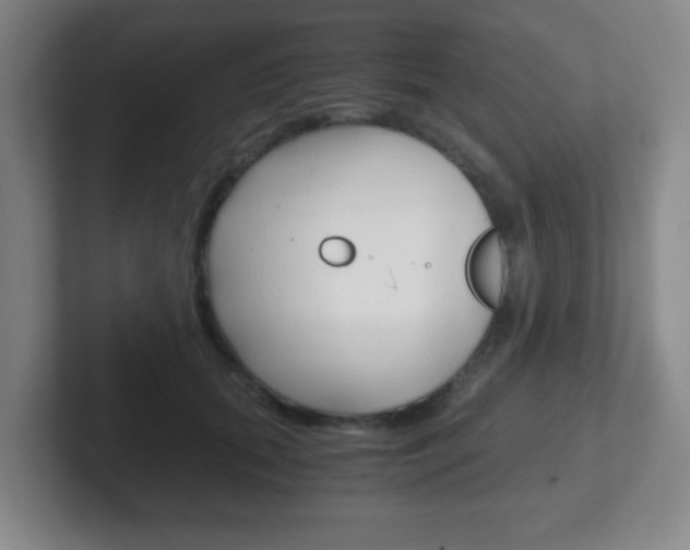 X0000102300655200807251022