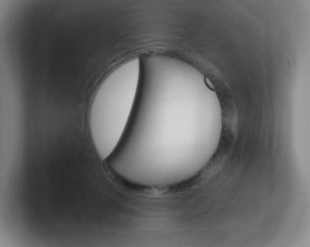 X0000102300660200807251022
