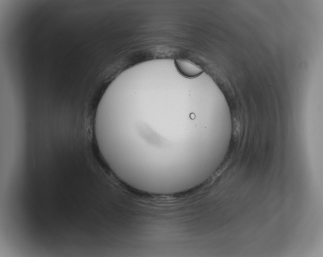 X0000102300666200807251022