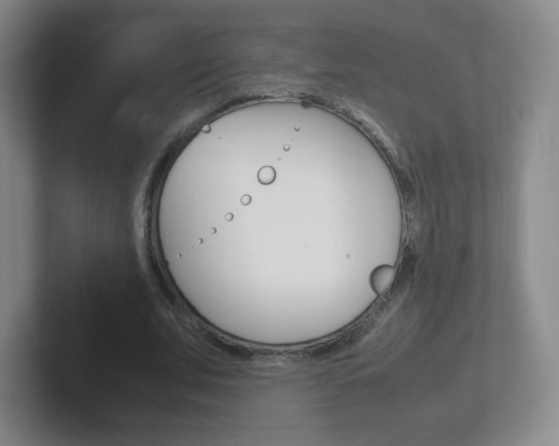 X0000102300679200807251021