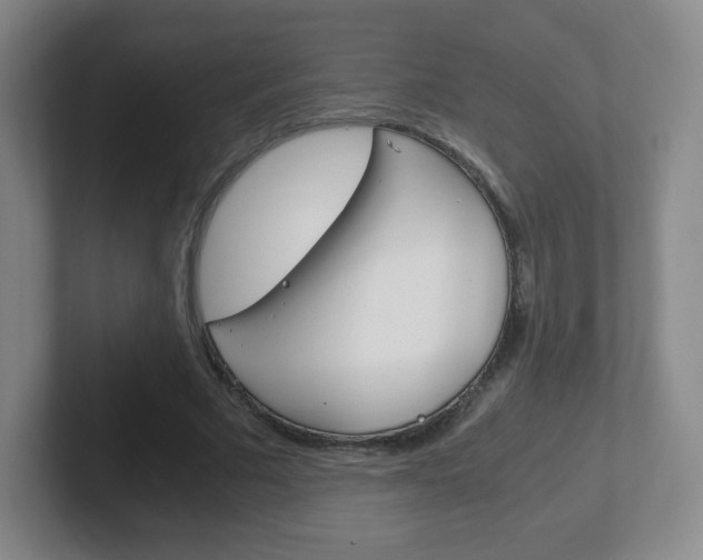 X0000102300681200807251021