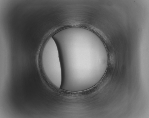 X0000102300682200807251021