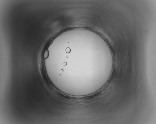X0000102300683200807251021
