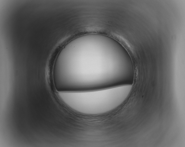 X0000102300684200807251021
