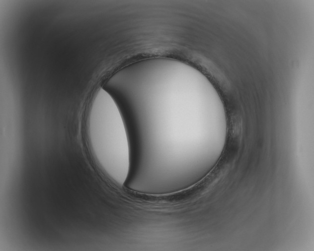 X0000102300685200807251021
