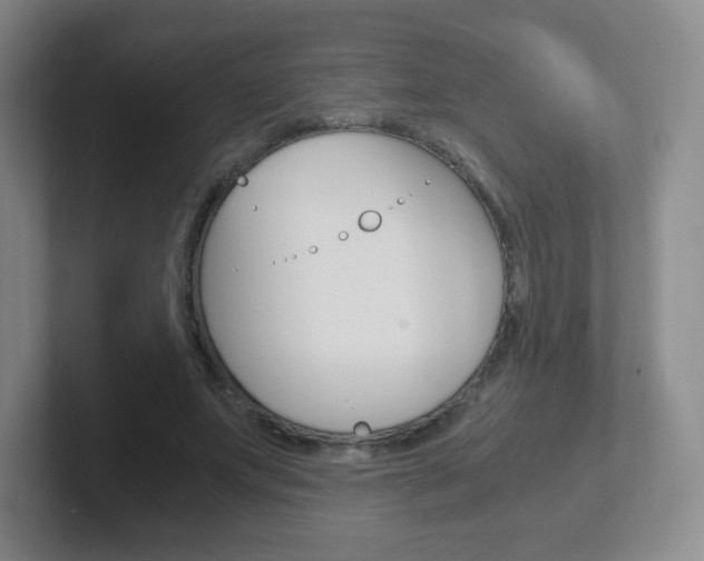 X0000102300687200807251021