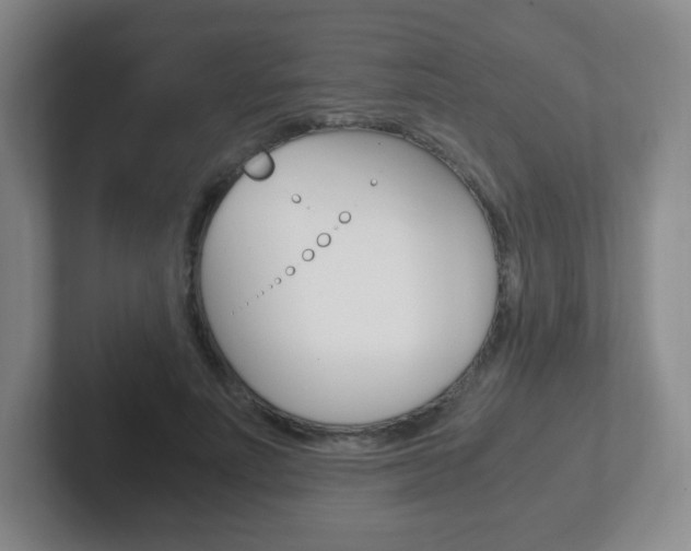 X0000102300691200807251021
