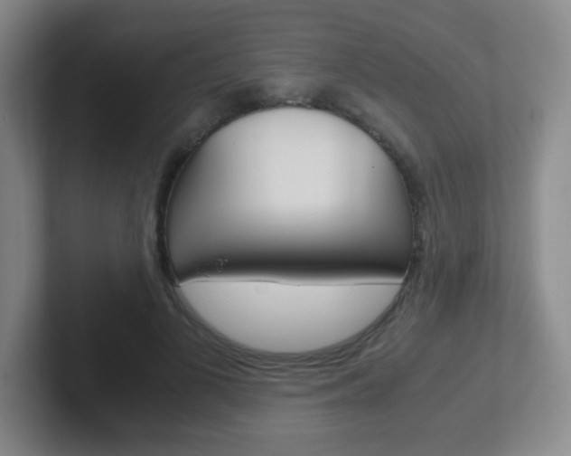 X0000102300693200807251021
