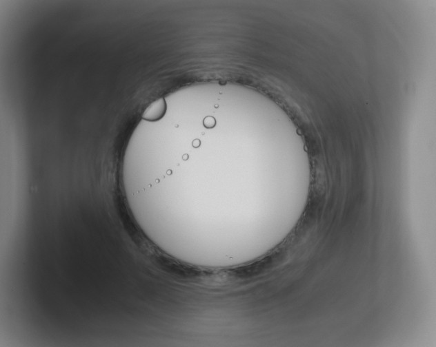 X0000102300695200807251021