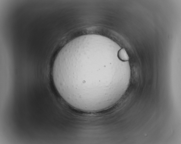 X0000102300698200807251021