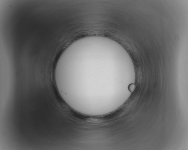 X0000102300699200807251021