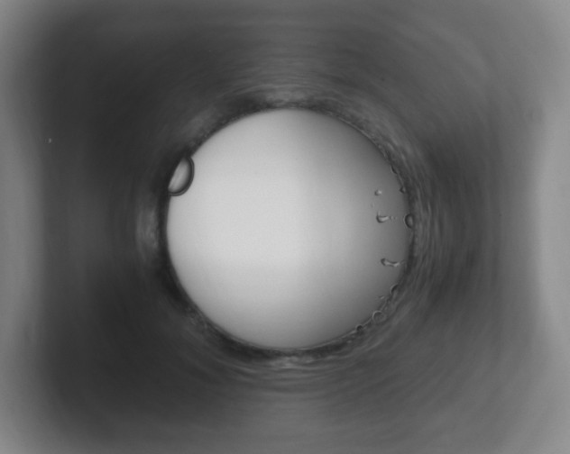 X0000102300700200807251021