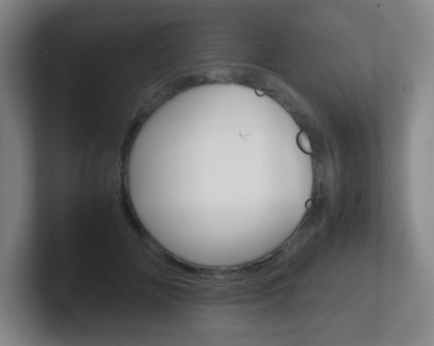 X0000102300702200807251021