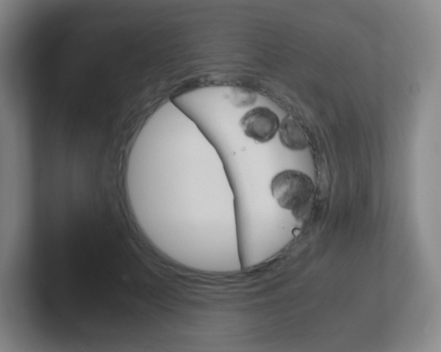 X0000102300703200807251021