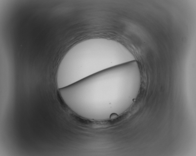 X0000102300707200807251021