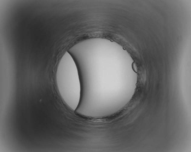 X0000102300711200807251021