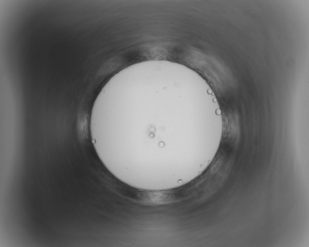 X0000102300717200807251021