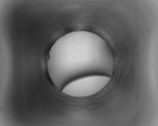 X0000102300719200807251021
