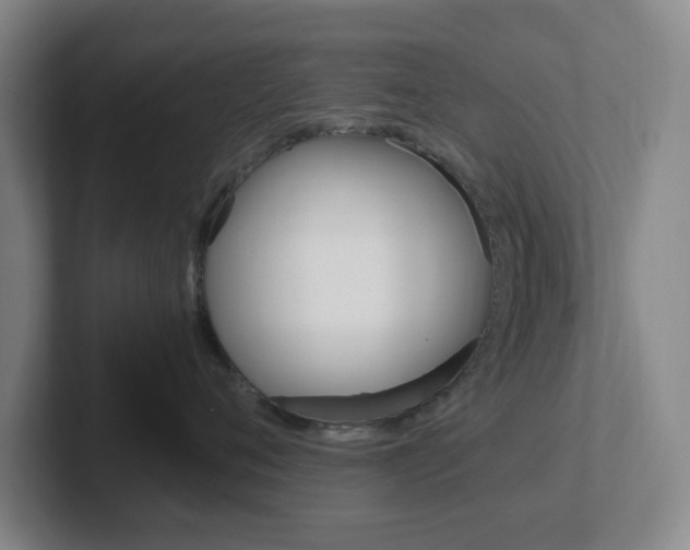 X0000102300720200807251021