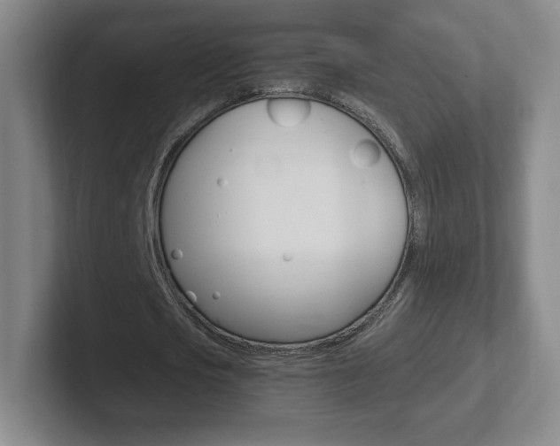 X0000102300721200807251020
