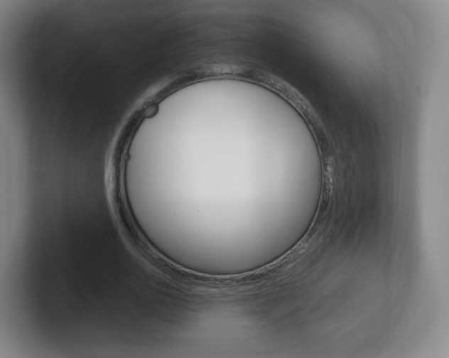 X0000102300726200807251020